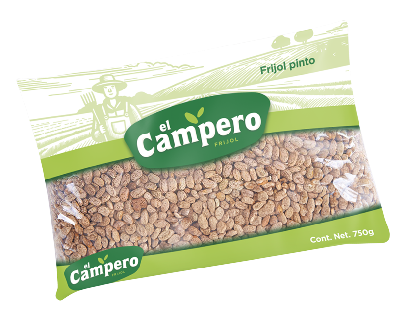 Inicio