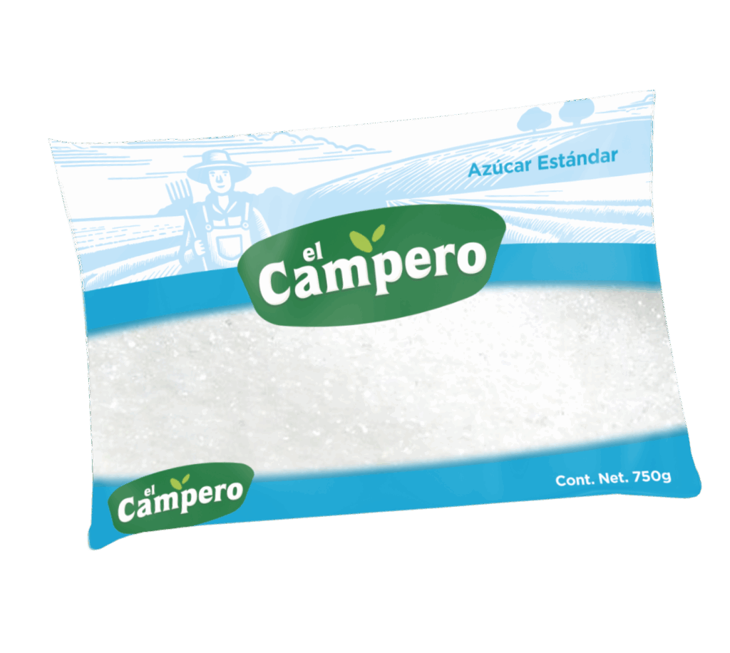 Inicio